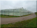 Part time window cleaner required at West Cranleigh Nurseries