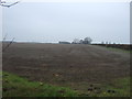 Farmland near Jubilee Farm