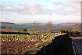 The road to Danby Castle