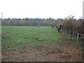 Farmland north off Sutton-cum-Lound