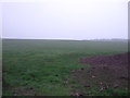 Farmland off Upton Road