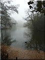 Misty morning in Oakmere Park