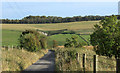 2011 : Not far from the bottom, track and bridleway from Knook Down