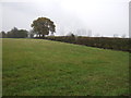 Farmland near South Wheatley