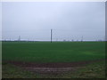 Farmland near Woodland Farm