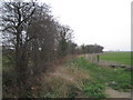 Footpath to Akeferry Lane