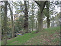 A prominent wooded mound beside Dalefords Lane