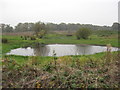 Pond in farmland