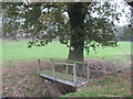 Foot bridge and oak tree at Marton Sands