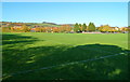 Newnham United FC pitch, Newnham-on-Severn