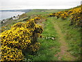 Above Battern Cliffs