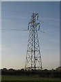 Pylon in farmland beside Clivegreen Road