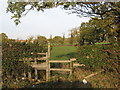 Stile and footpath to Clive