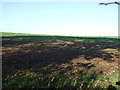 Farmland, Thornton Moor