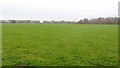 A field, Oldhill