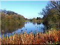 Poynton Lake