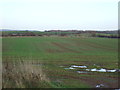 Farmland near Oneholmes Farm