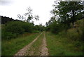 Sussex Border Path, The Harrows