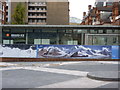 Rivers of ice on Exhibition Road