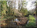 Glamorganshire Canal: looking towards Forest Lock