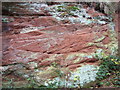 Sandstone quarry cliff