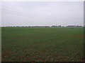 SK7970 : Farmland near High Marnham by JThomas