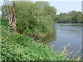 SO7388 : River Severn near Mor Brook footbridge by Mat Fascione