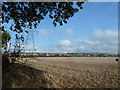 Farmland to the east of Birdwood Grove