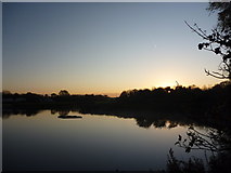 NT6578 : Rural East Lothian : Sunrise at Seafield Pond, Belhaven by Richard West