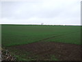 SK7468 : Farmland off Weston Road by JThomas