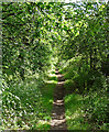 Path near Immingham