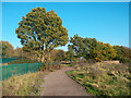 London Loop, Hampton Golf Course