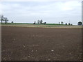 Farmland near Foxholes Farm