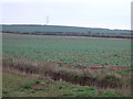 Farmland near Norwell Lodge