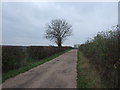 Track to Highfield House (bridleway)