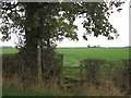 Stile and footpath at Oultonlowe Cottage