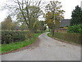 The road heading south from Oultonlowe Cottage to Woodgate Farm