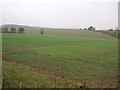 Farmland near Kneesall Lodge