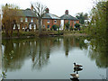 Pond, Ashstead