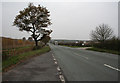 Grey Day on the Nottingham road