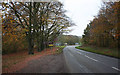 Crossroads nr Papplewick Pumping Station