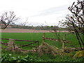 Arable fields near Kinrossie