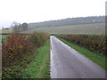 SK6971 : Minor road running south near Bevercotes Park by JThomas