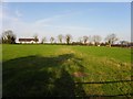 Ballynease Townland