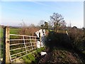 Muddy lane, Clady