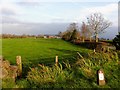 Muckleramer Townland