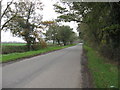 Hall Lane Looking South