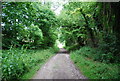SU7618 : Sussex Border Path by N Chadwick