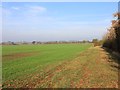 Bridleway north of Newfields Farm