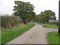 New Lane looking NE from Court Farm